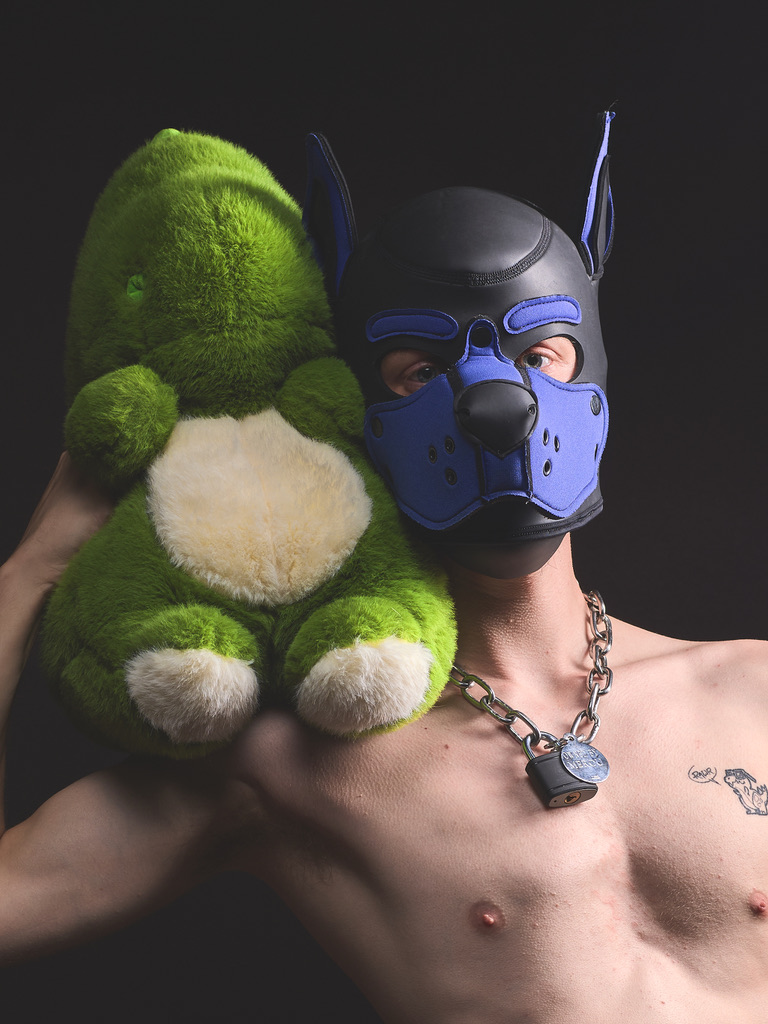 Alpha, bêta, oméga : faut-il repenser la hiérarchie des meutes dans le Puppy Play ?